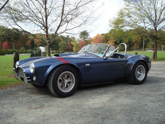 Cobra_Fall_2010_1resized