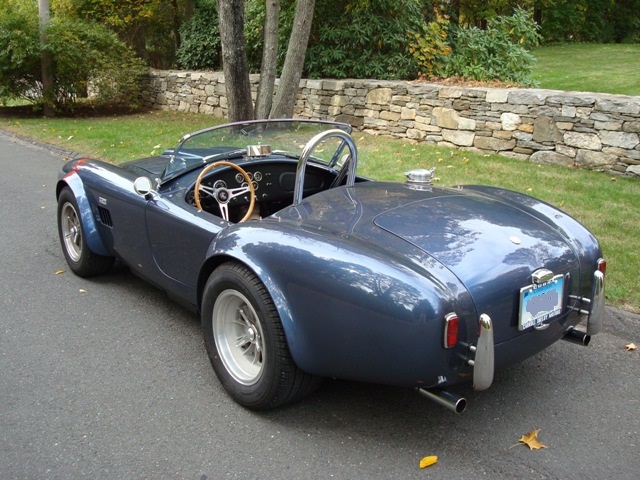 Cobra_Fall_2010_9resized