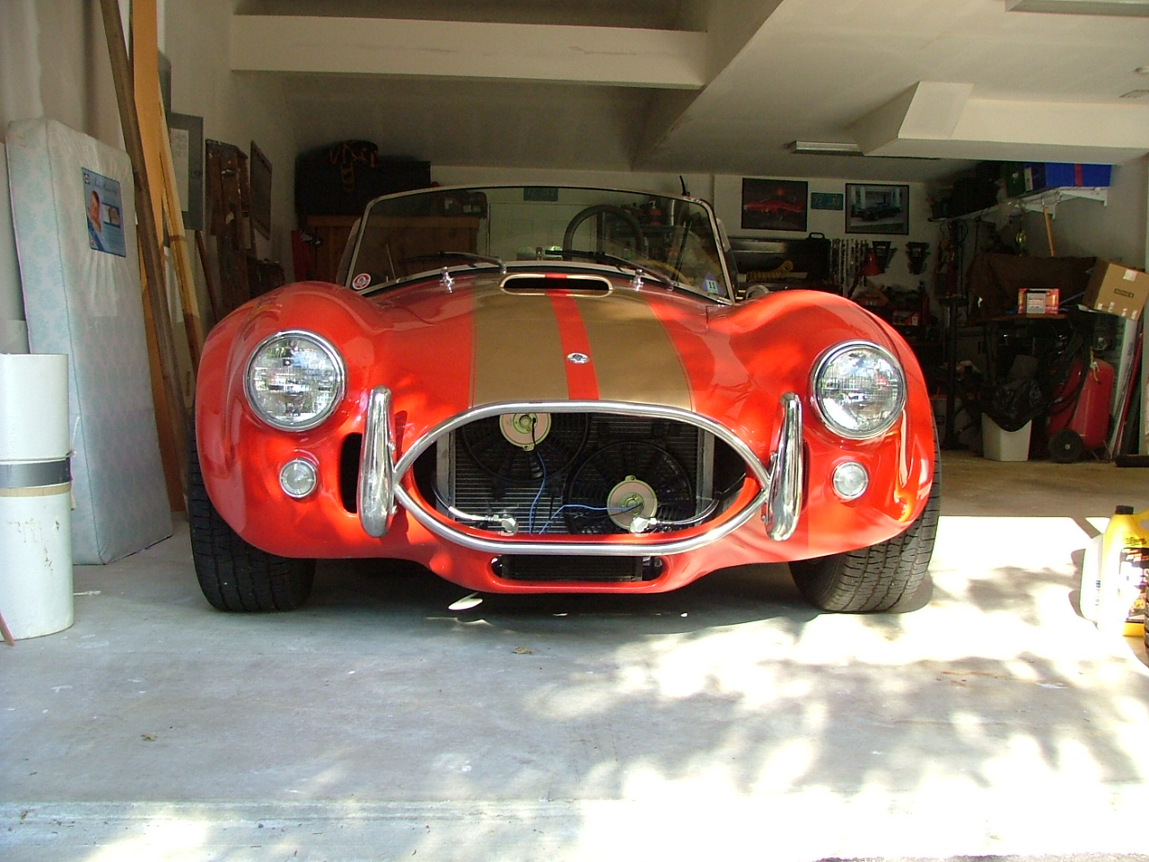Cobra_Front