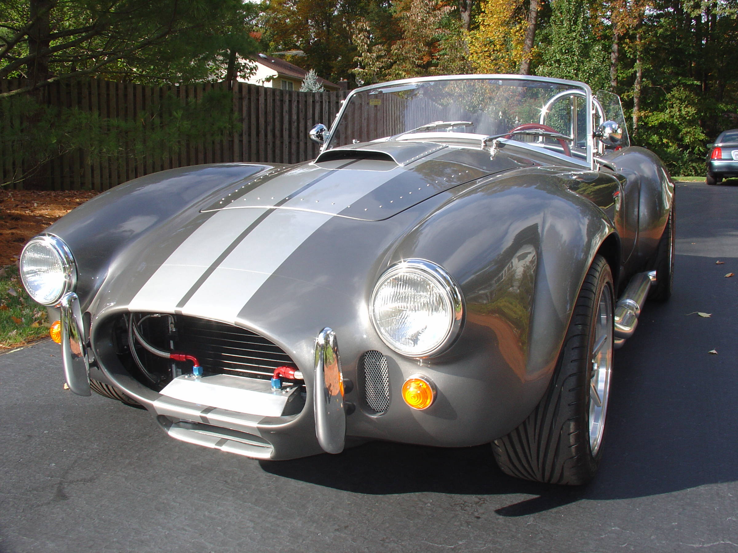 Cobra_Ins_Photos_071