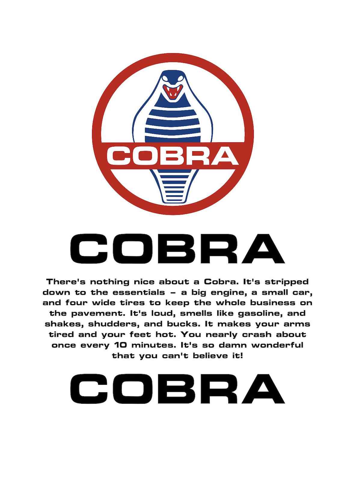 Cobra_Motif