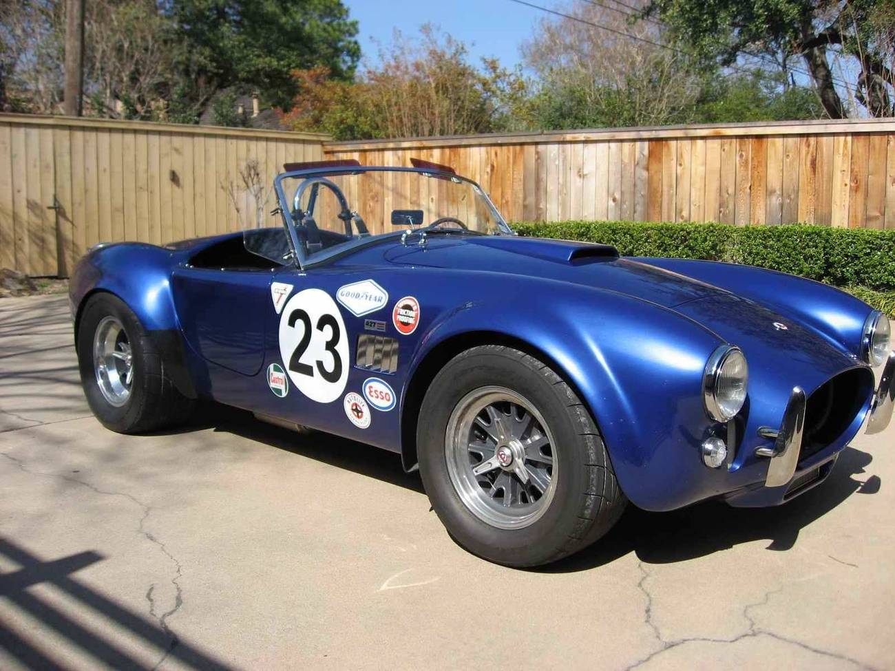Cobra_Pic21