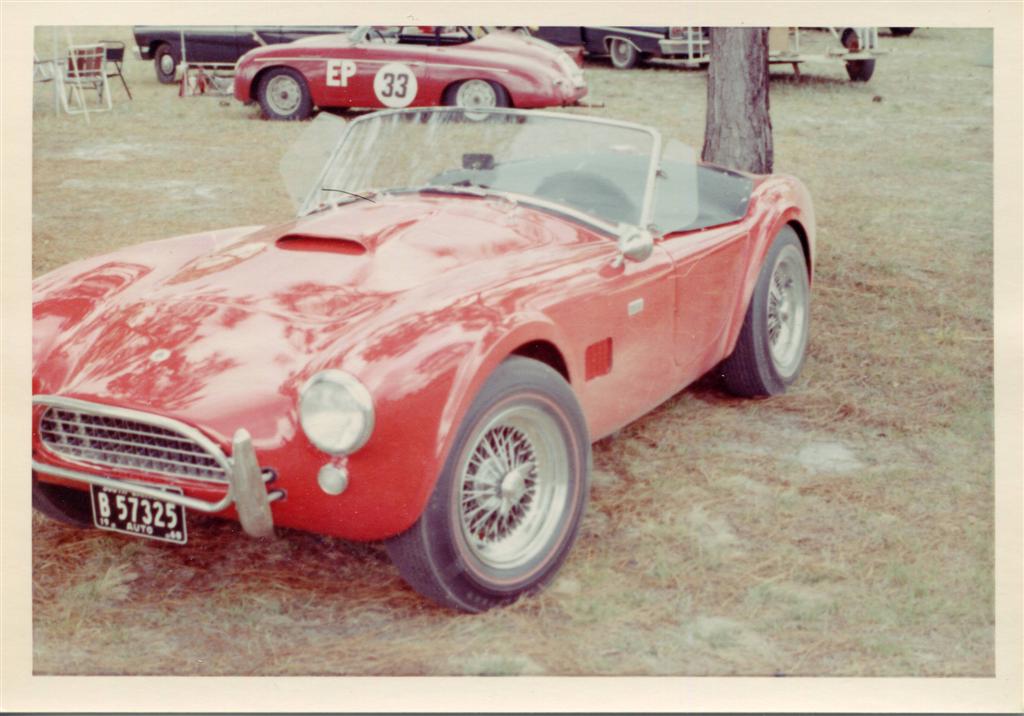 Cobra_and_Porsche_Large_