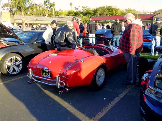 Cobra_at_Car_Show_3