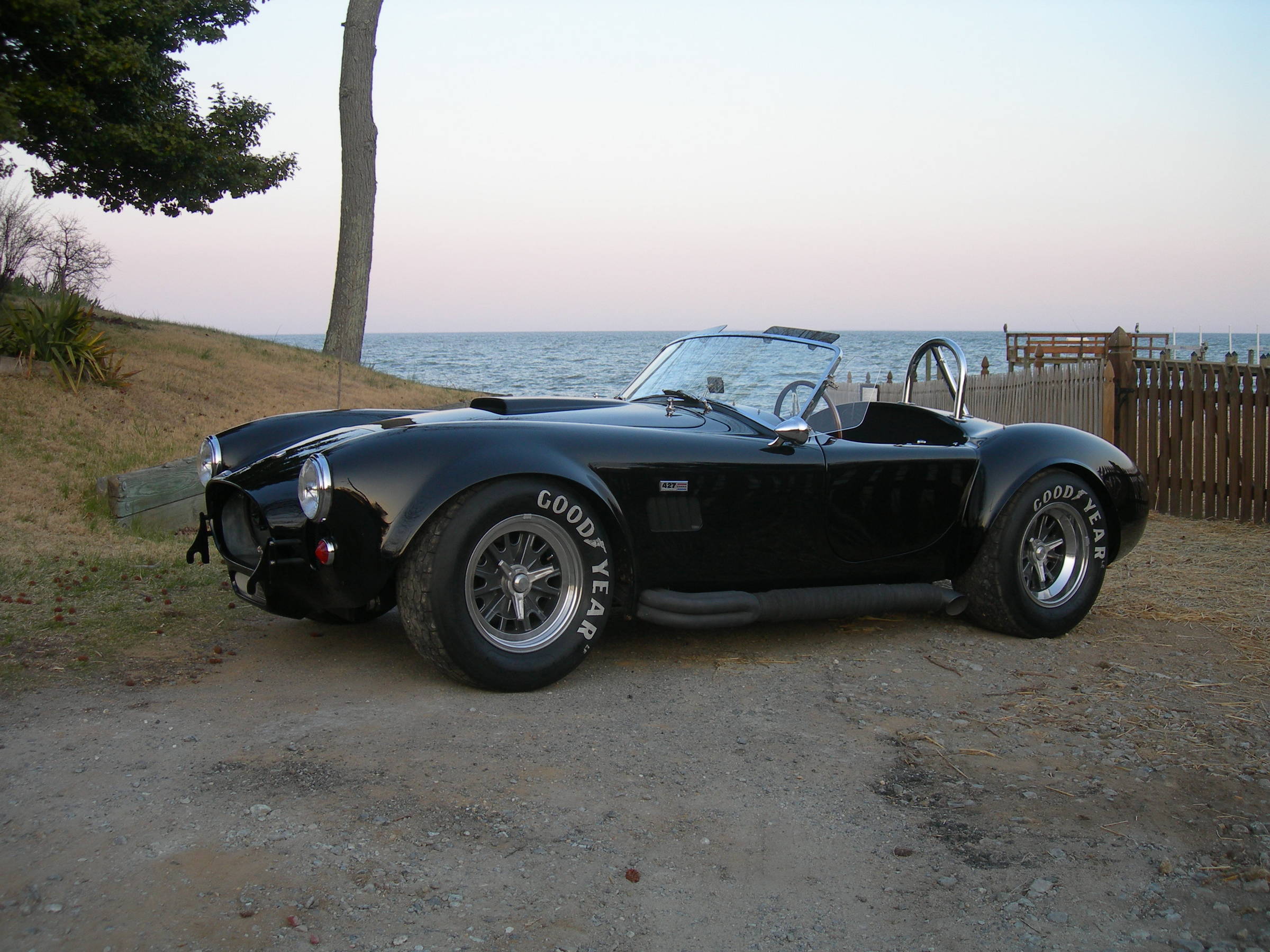 Cobra_at_Dares_Beach_30_March_2006_001