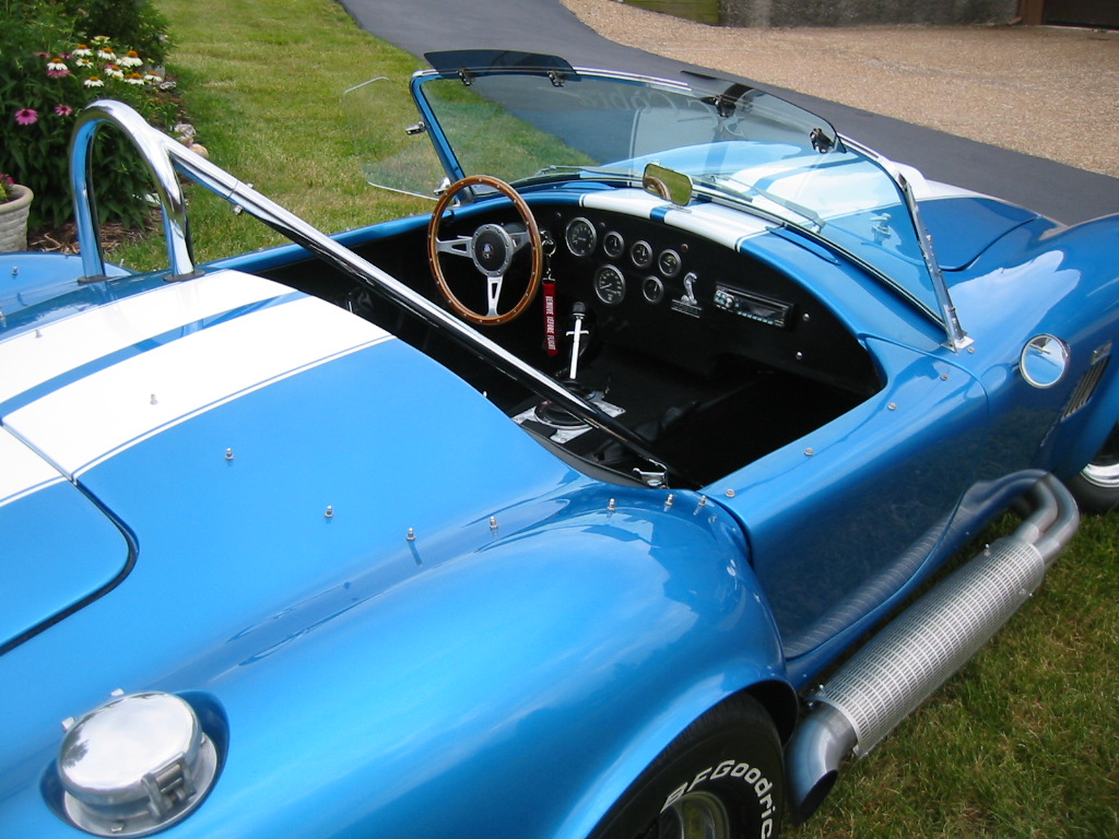 Cobra_in_Blue_004