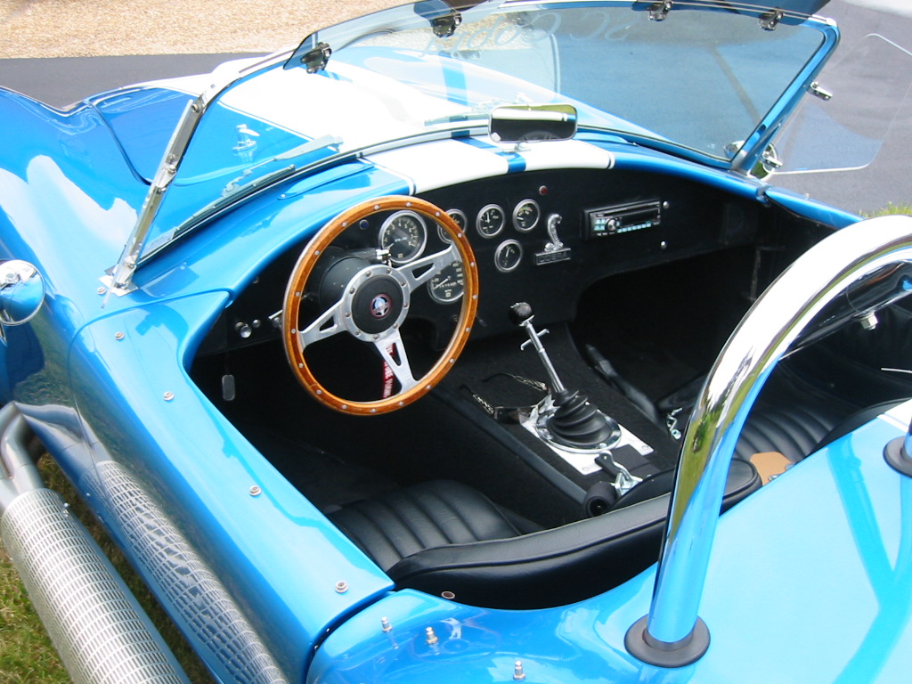 Cobra_in_Blue_006