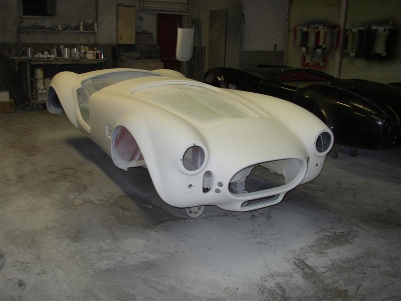 Cobra_in_primer7_Medium_