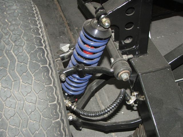 Cobra_progress_dec_2006_011