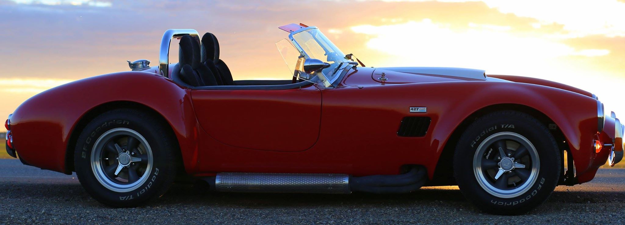 Cobra_semi-silhouette_against_sunset