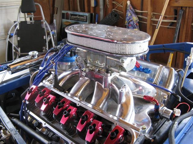 Cobra_shots_2008_003_Small_