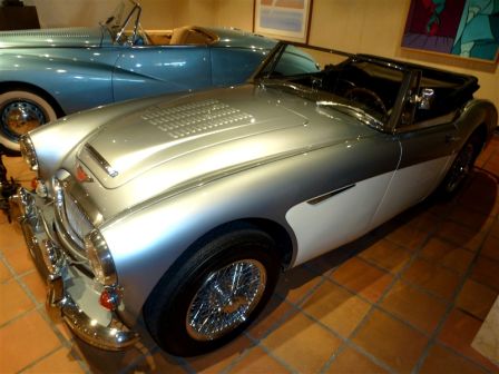 Copy_of_Austin_Nealey_100_6