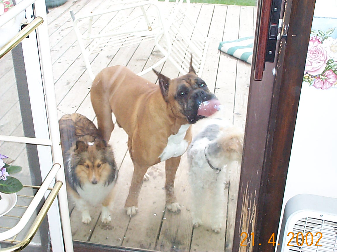 Copy_of_Zeek_Licking_glass_0022