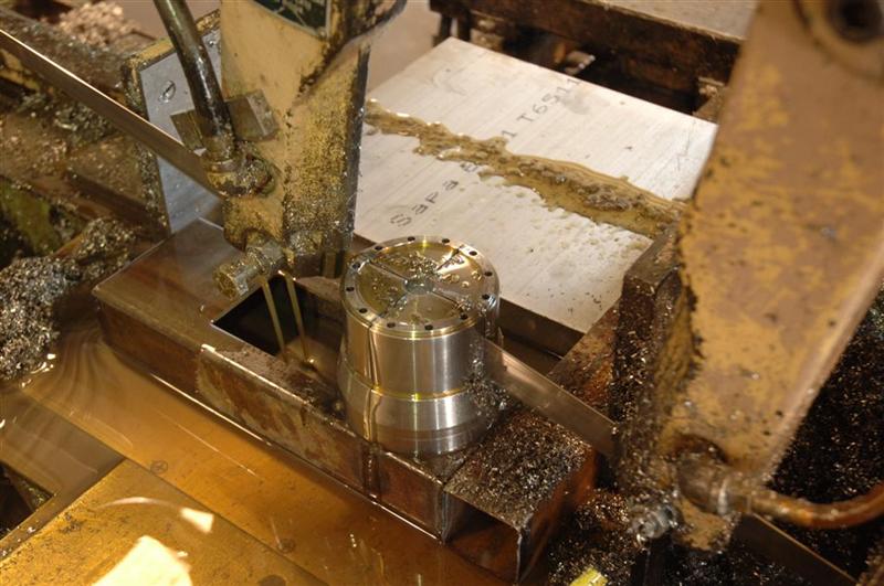 DSC_4537_Large_Medium_