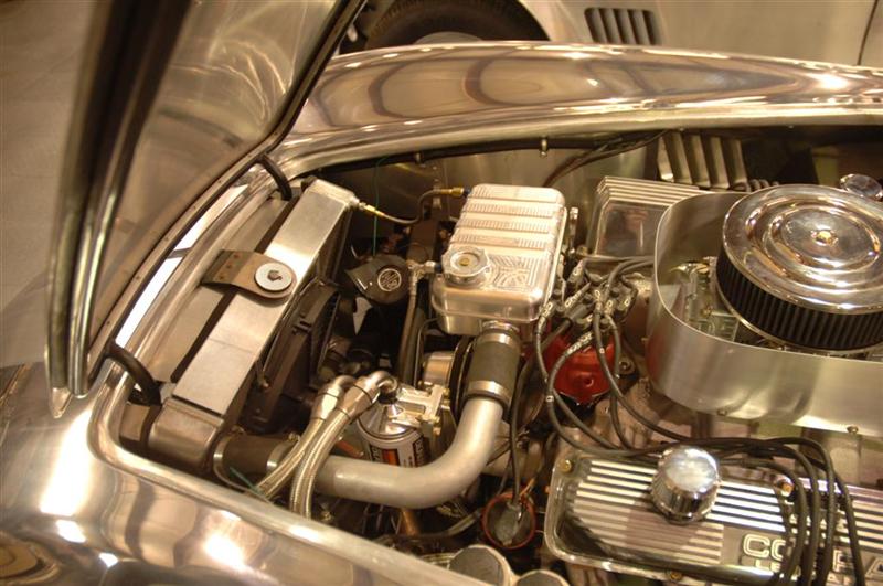 DSC_6618_Large_Medium_