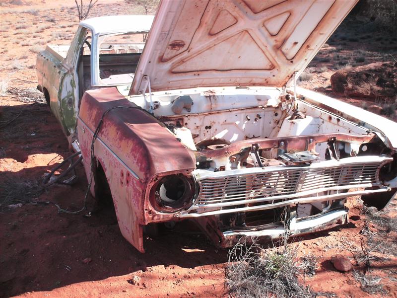 Daves_bush_trip_May_07_027_Medium_