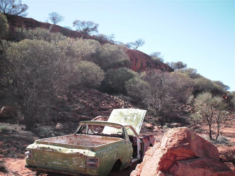 Daves_bush_trip_May_07_029_Medium_