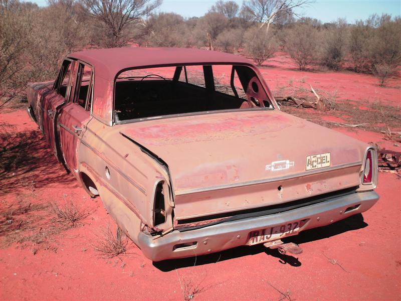 Daves_bush_trip_May_07_033_Medium_