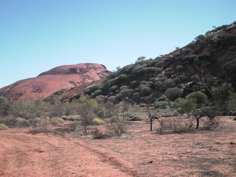 Daves_bush_trip_May_07_046_Medium_