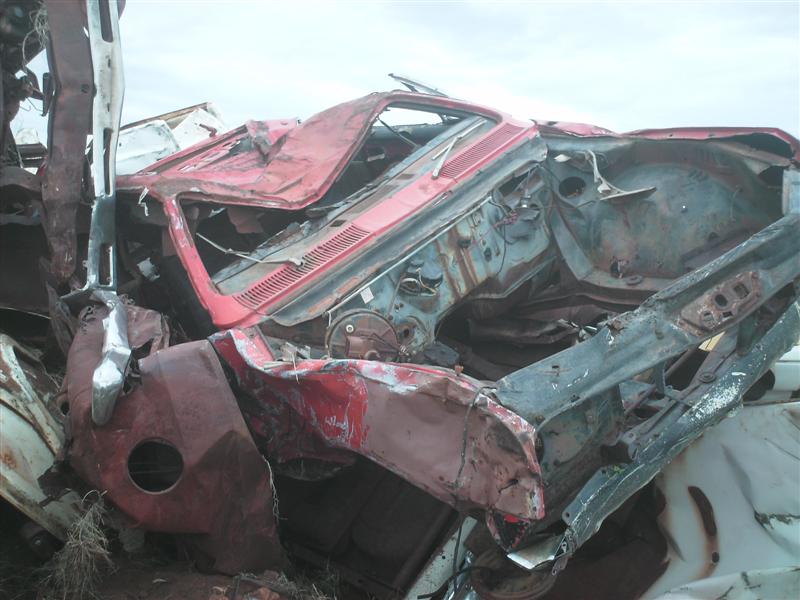 Daves_bush_trip_May_07_143_Medium_