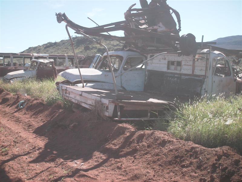 Daves_bush_trip_May_07_150_Medium_