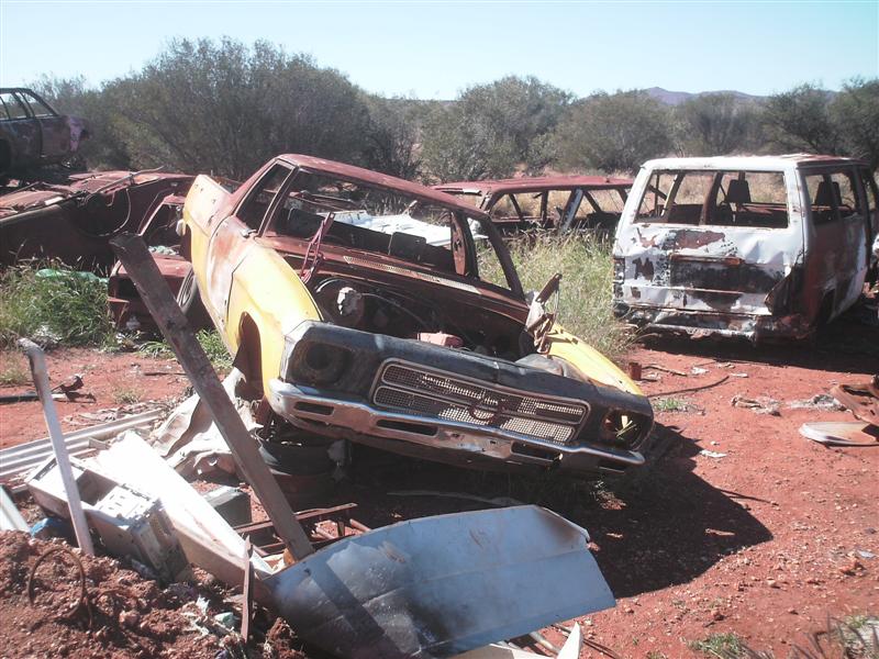 Daves_bush_trip_May_07_152_Medium_