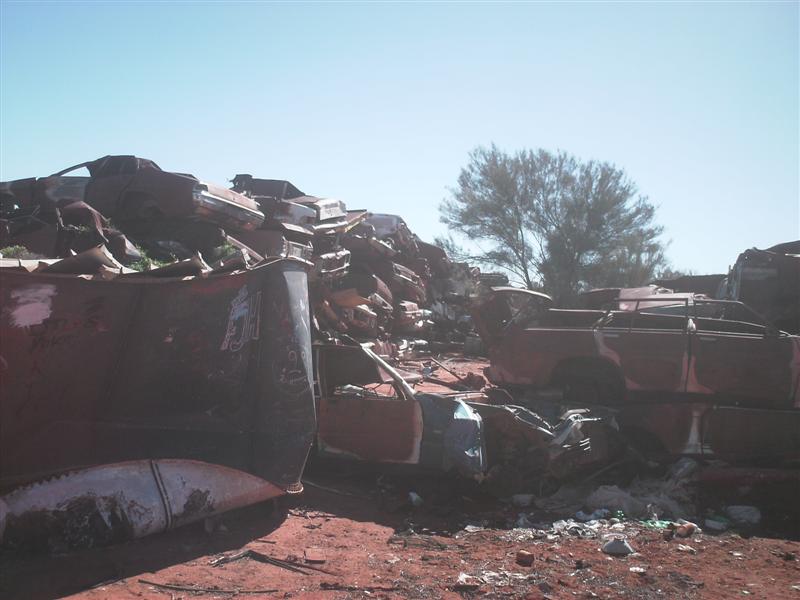 Daves_bush_trip_May_07_157_Medium_