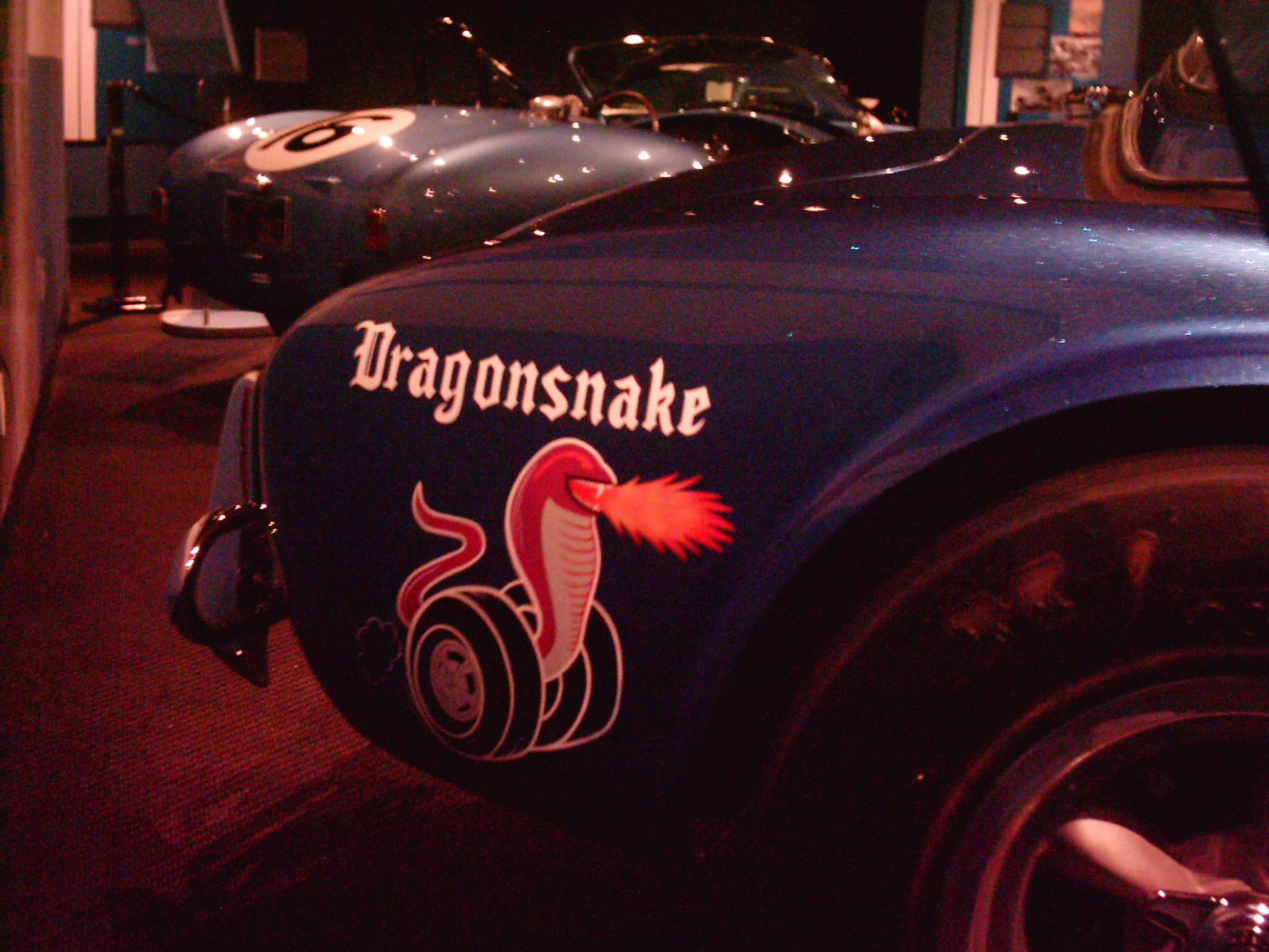 Dragonsnake