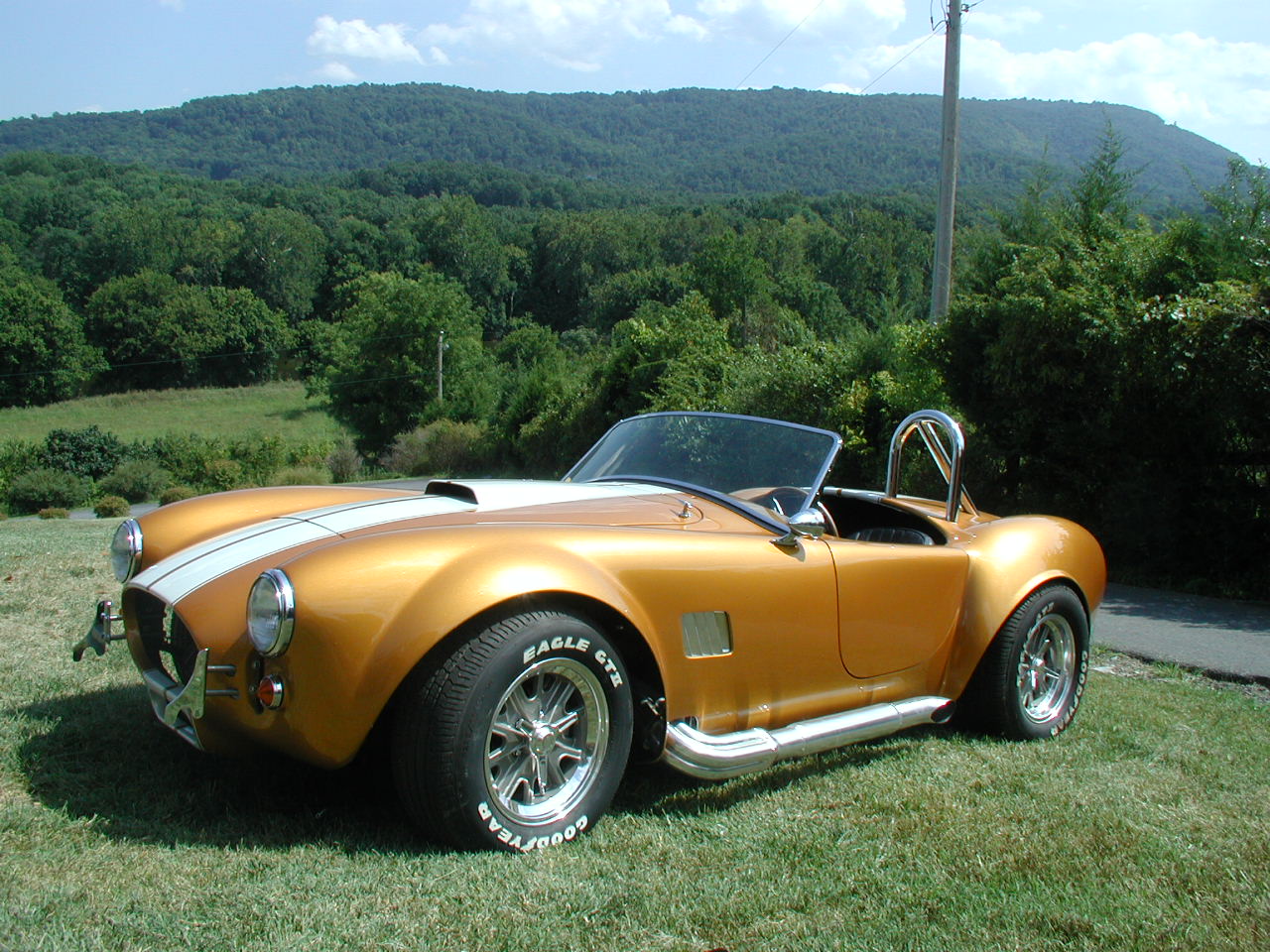 FFR_Cobra