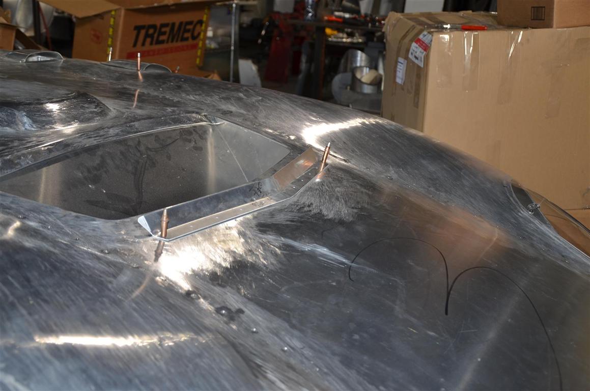 FMC_6919_Large_Medium_