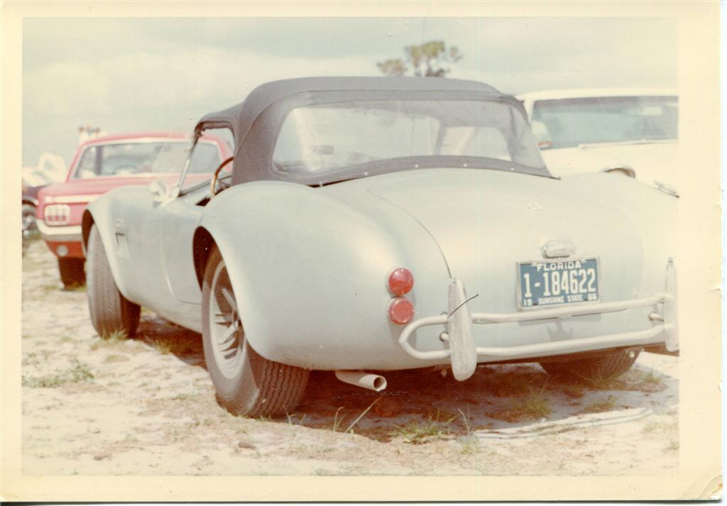 Florida_street_Cobra_Large_