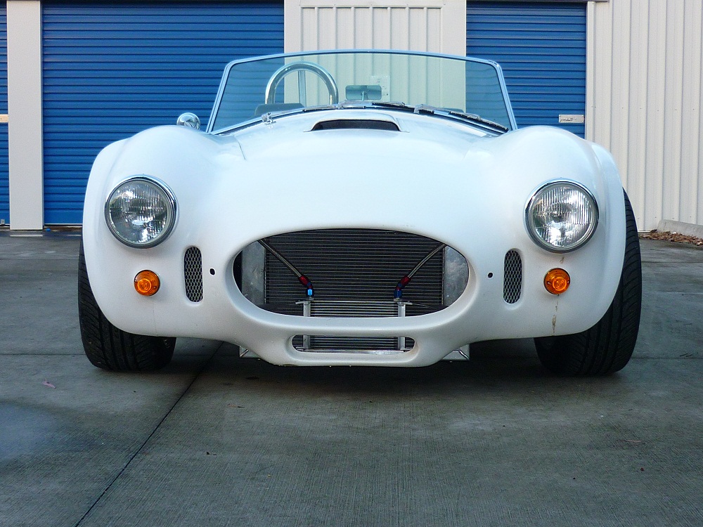 Front_view_Cobra_in_the_Sun