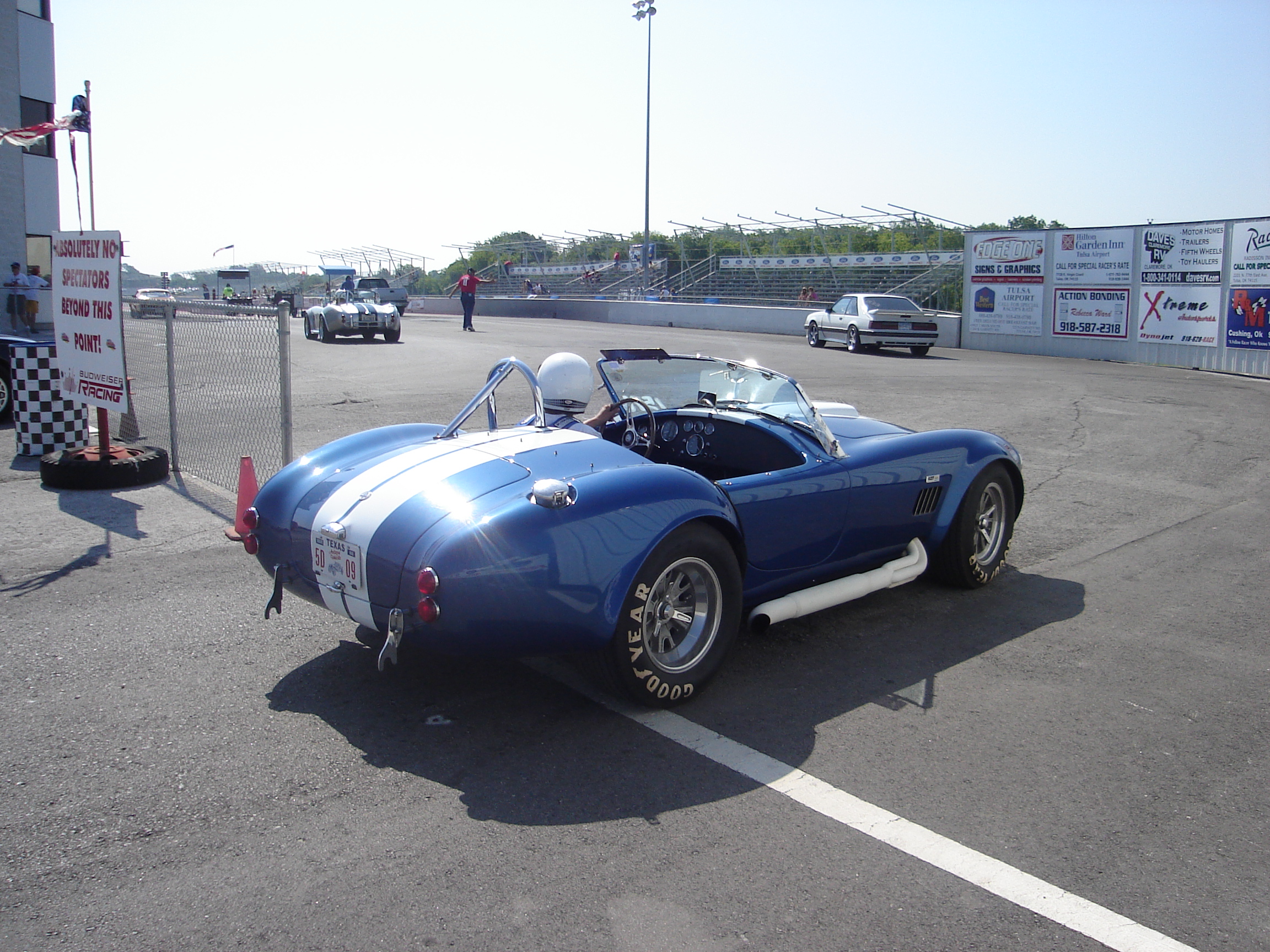 Hey_Little_Cobra_001