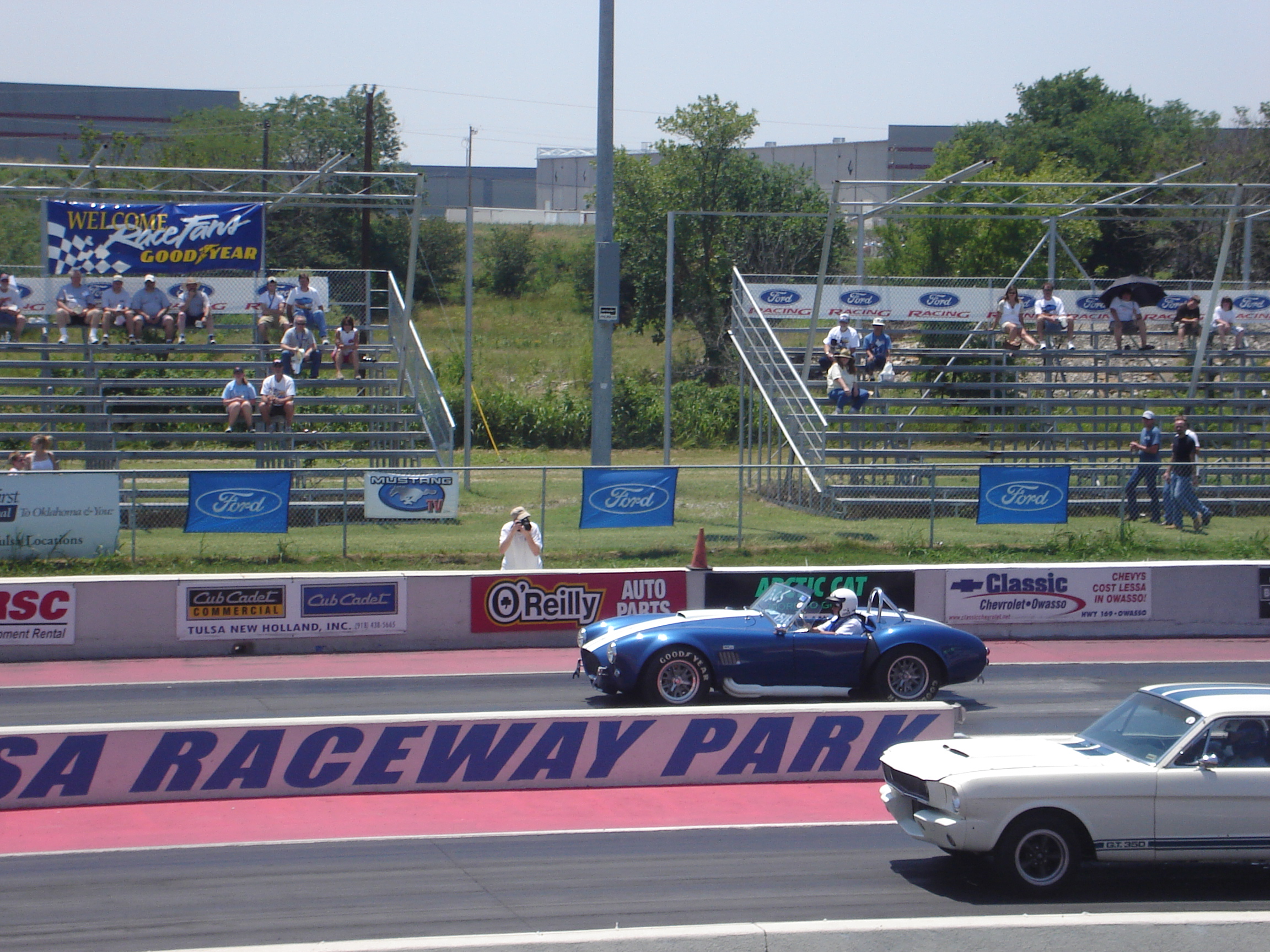 Hey_Little_Cobra_003