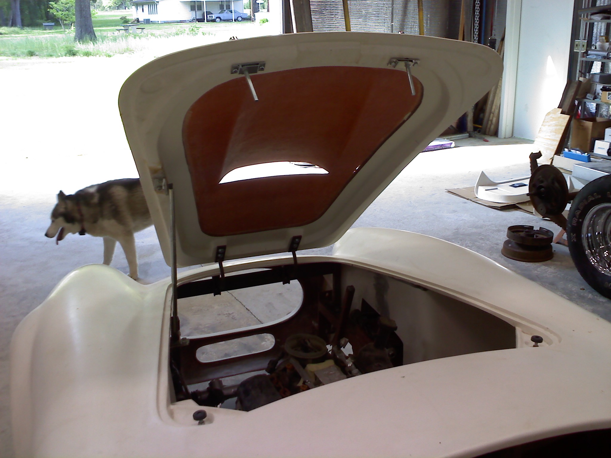 Hood_and_Moxie_the_dog