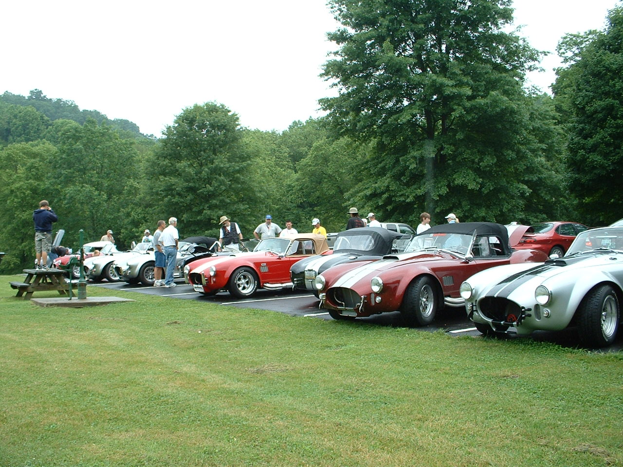 London_Cobra_Show_006