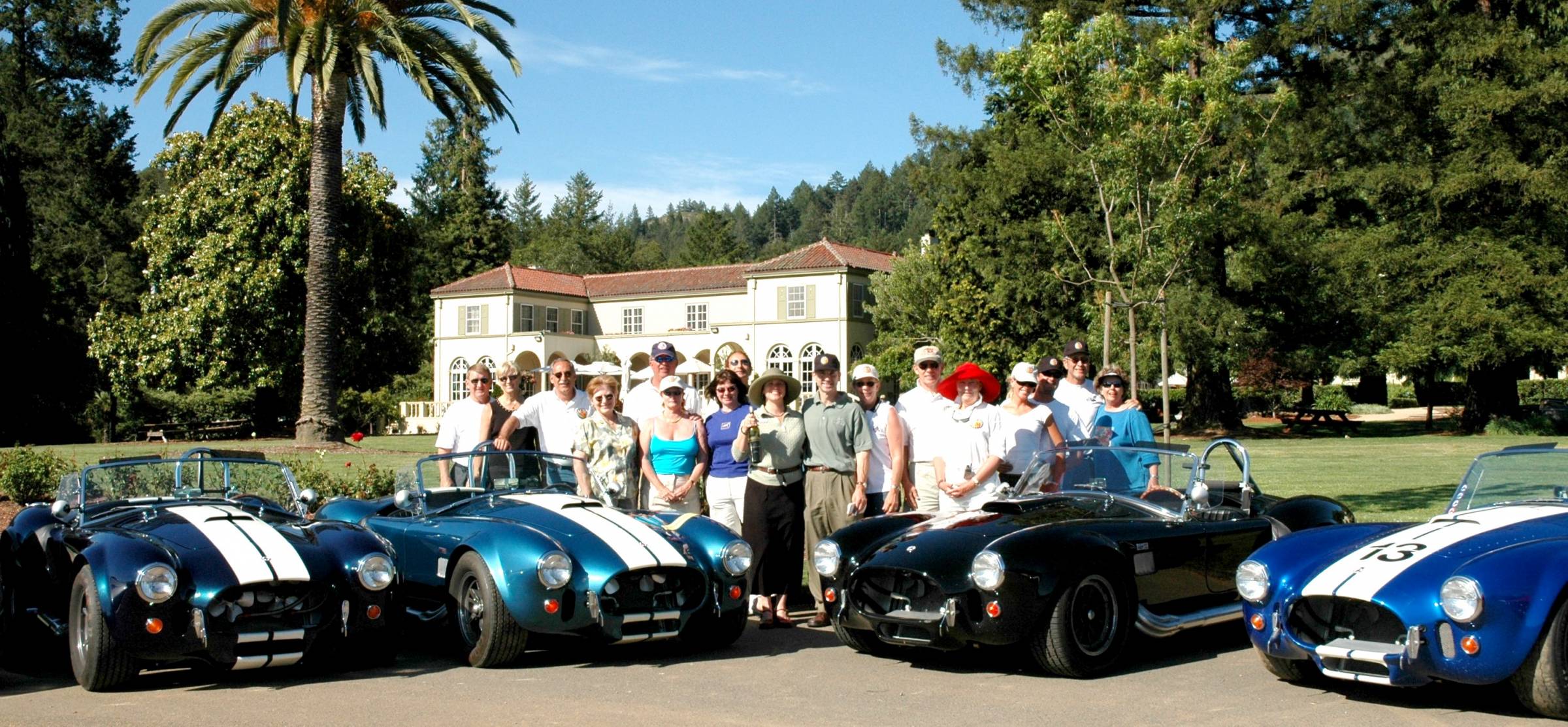 Picture_Snakes_in_the_grapes_103