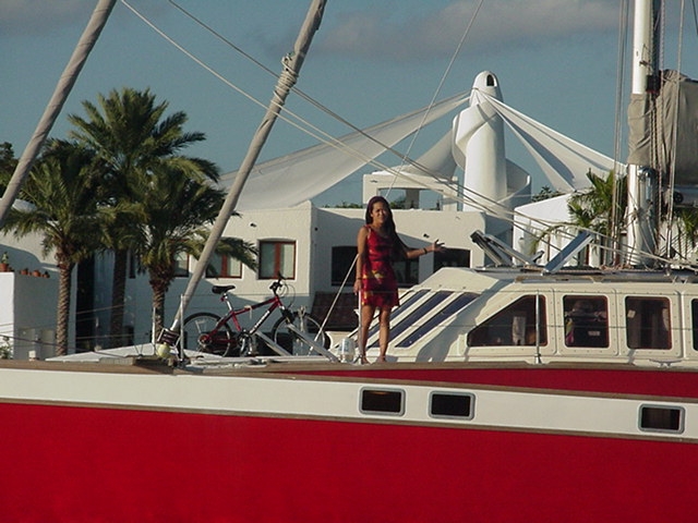 Picture_or_Video_100