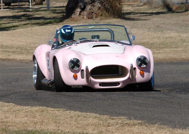 Pink_cobra_2_Small_