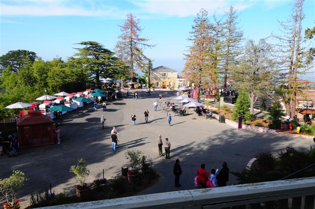 Plaza_from_Office_View_Small_