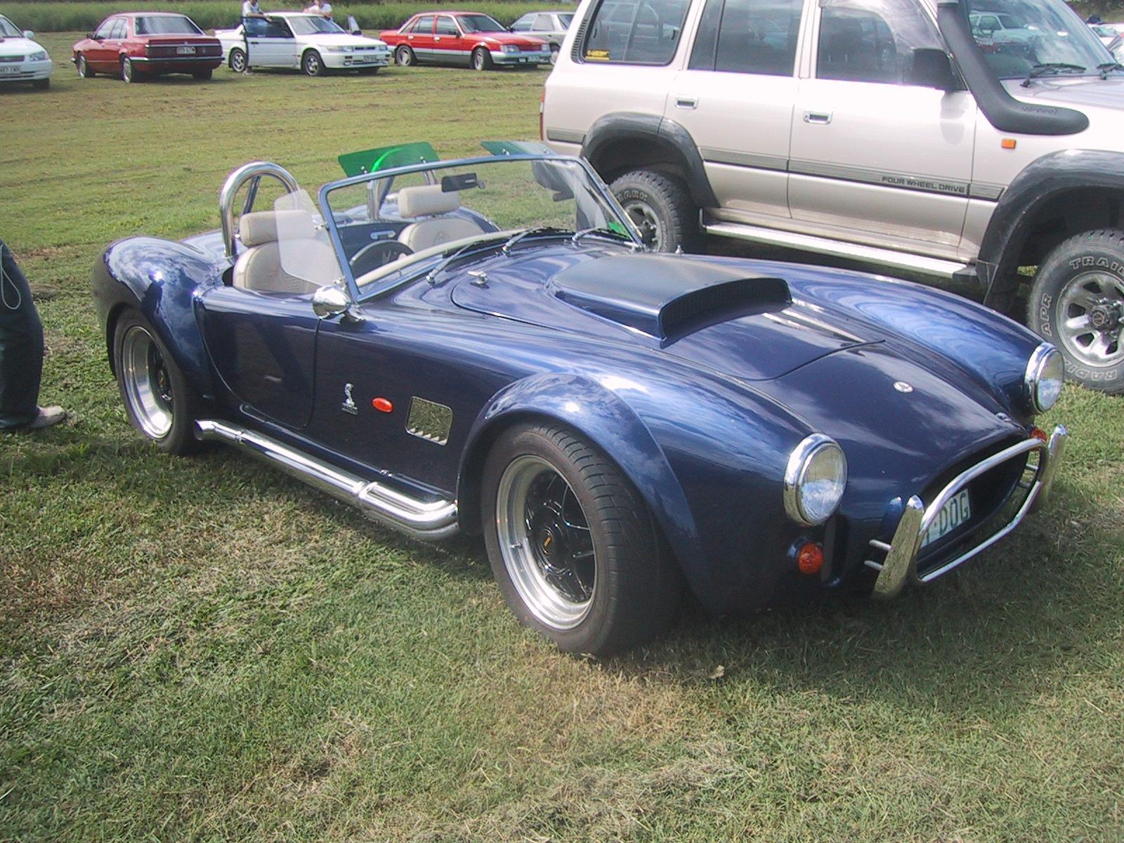 RandomCobra_on_side_of_Road