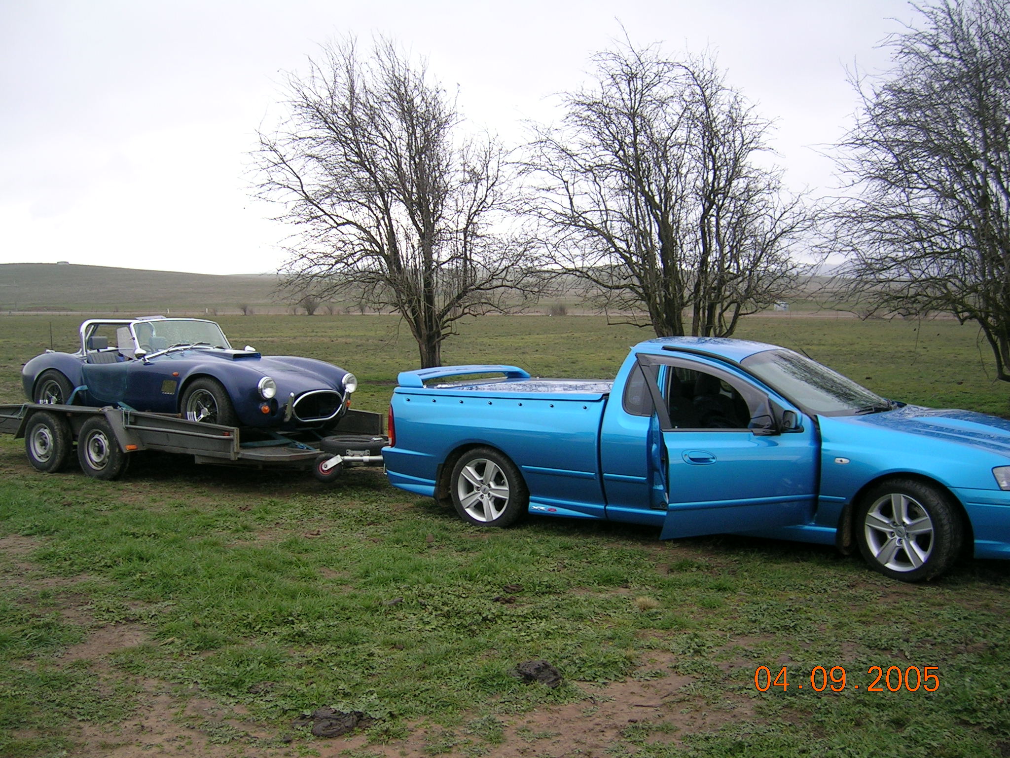 Registered_Cobra_003