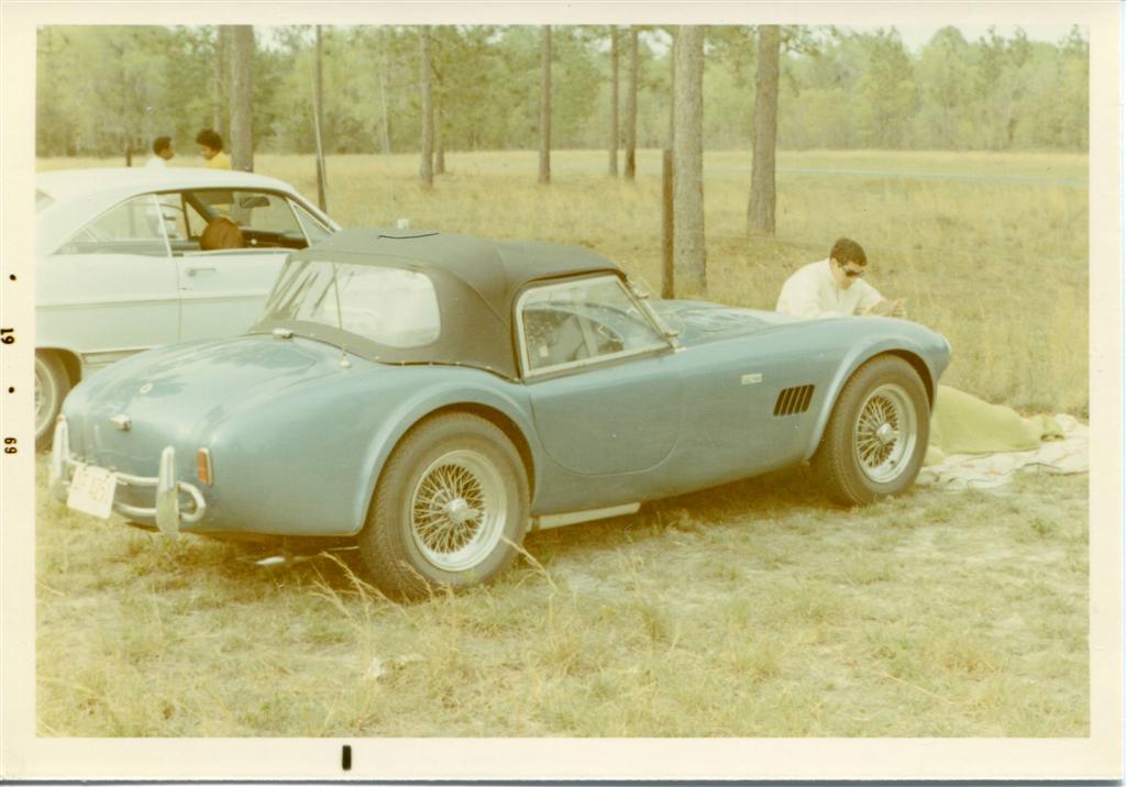 Savannah_spectator_Large_