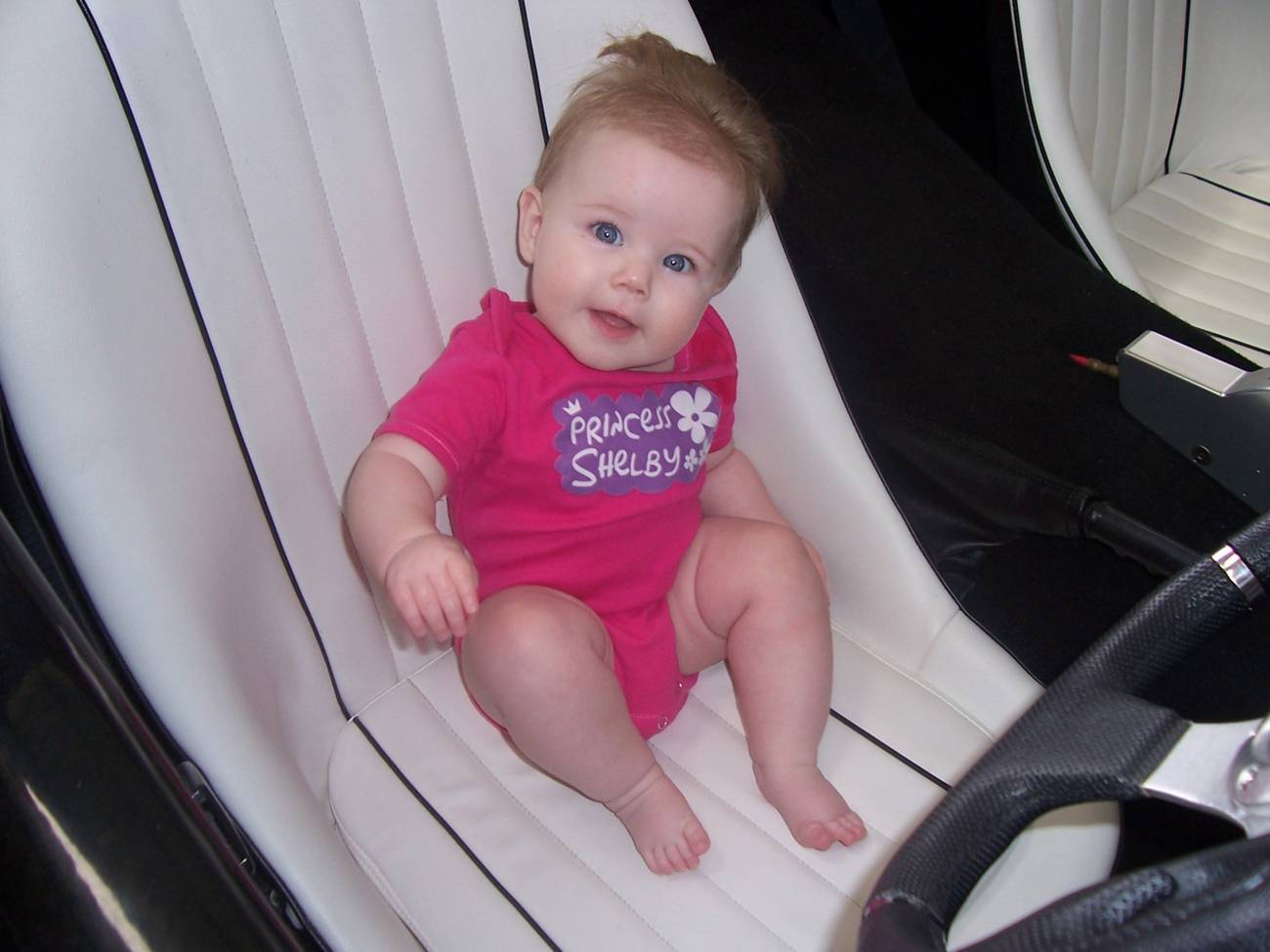 Shelby_1