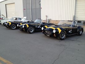 Three_Terlingua_Cobras