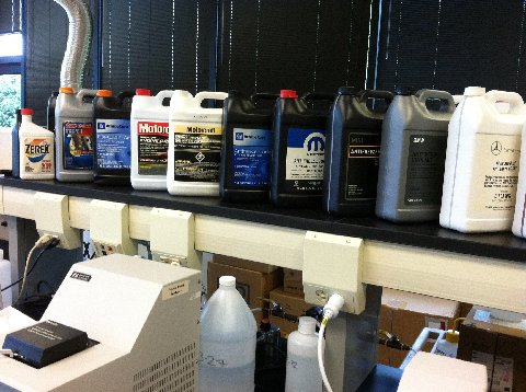 Toad_Hill_run_6_resize