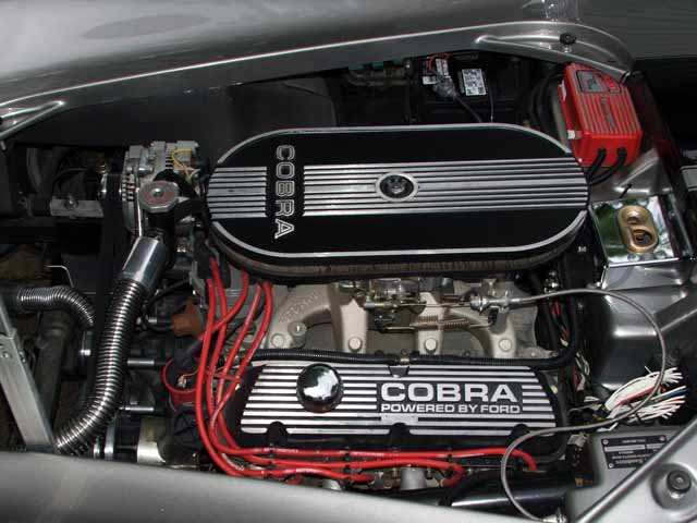 bills_cobra_008