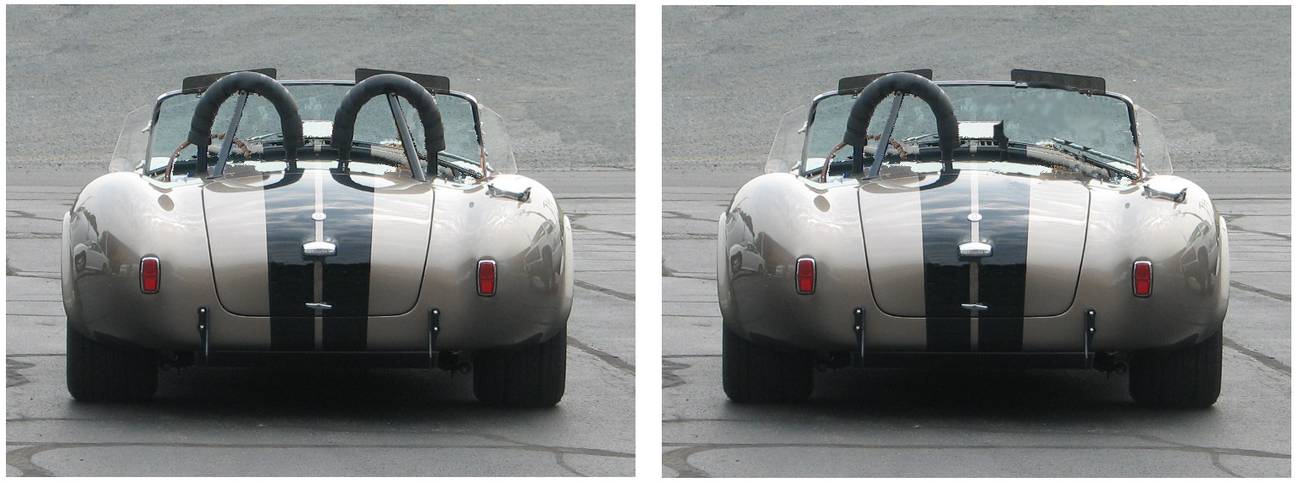 both_single_and_dual