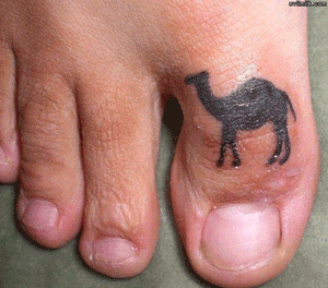 camel-toe