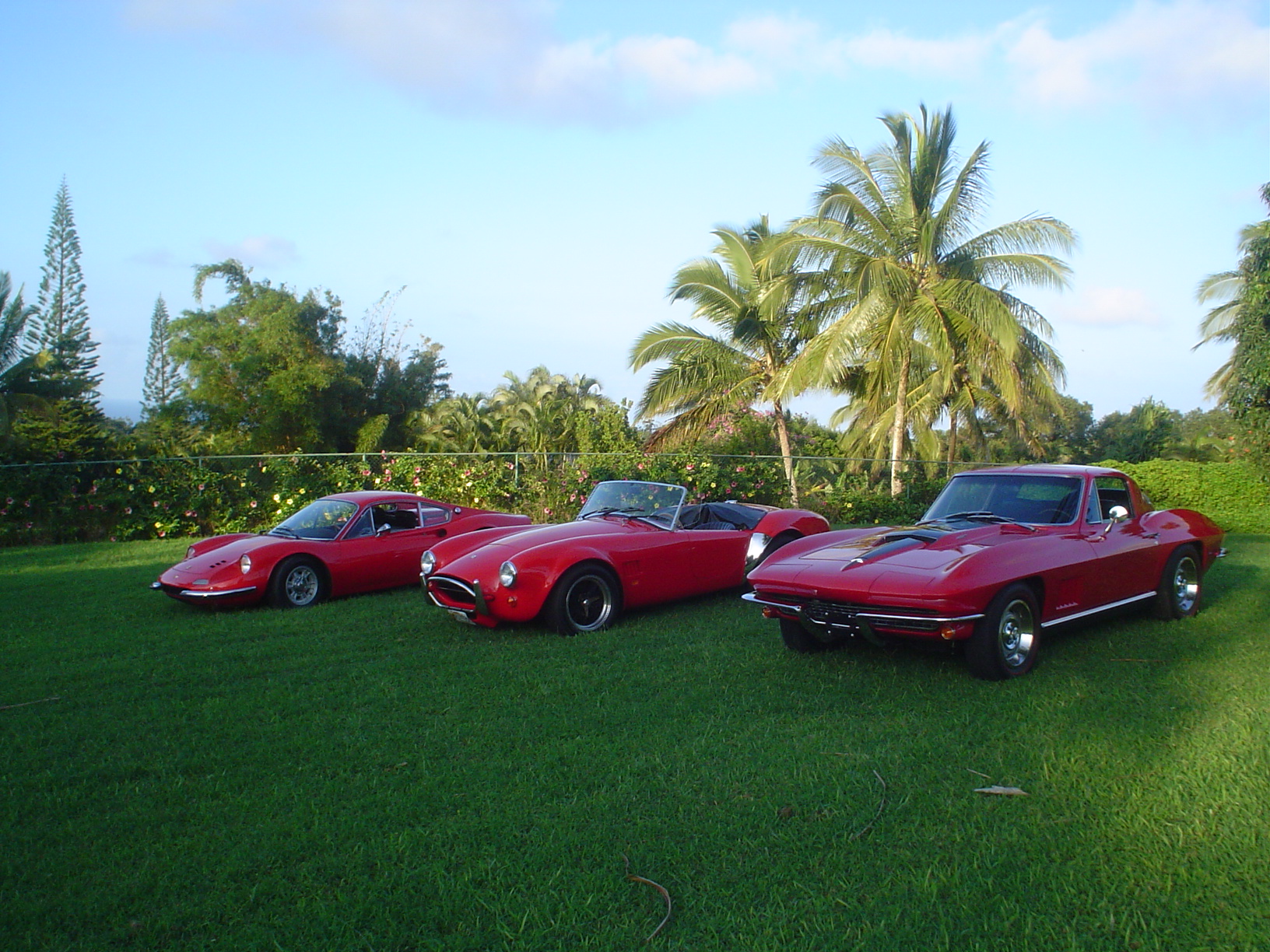 cid_001101c7dded_972bb480_cf85eddc_lewis18cb8afe0